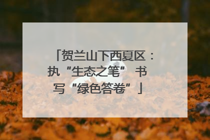贺兰山下西夏区：执“生态之笔” 书写“绿色答卷”
