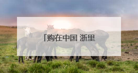 购在中国 浙里焕新 工商银行浙江省分行助力“浙里焕新”消费季