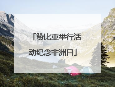 赞比亚举行活动纪念非洲日