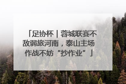 足协杯｜蓉城联赛不敌弱旅河南，泰山主场作战不妨“抄作业”