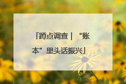 蹲点调查｜“账本”里头话振兴