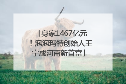 身家1467亿元！泡泡玛特创始人王宁成河南新首富