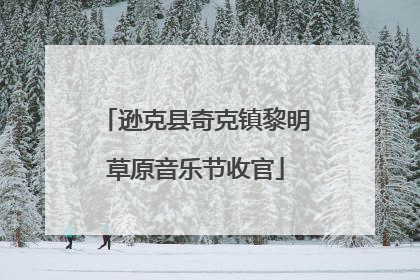 逊克县奇克镇黎明草原音乐节收官