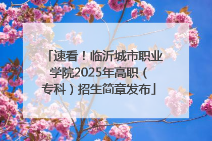 速看！临沂城市职业学院2025年高职（专科）招生简章发布