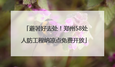 避暑好去处！郑州58处人防工程纳凉点免费开放