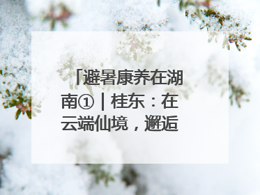 避暑康养在湖南①｜桂东：在云端仙境，邂逅一场清凉之约