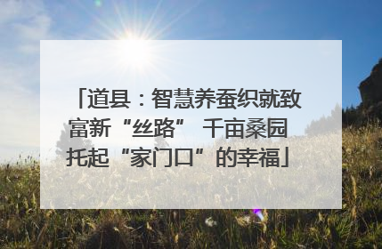 道县：智慧养蚕织就致富新“丝路” 千亩桑园托起“家门口”的幸福