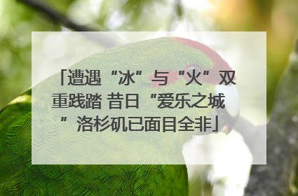 遭遇“冰”与“火”双重践踏 昔日“爱乐之城”洛杉矶已面目全非