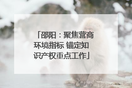 邵阳：聚焦营商环境指标 锚定知识产权重点工作