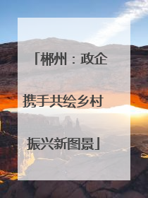 郴州：政企携手共绘乡村振兴新图景