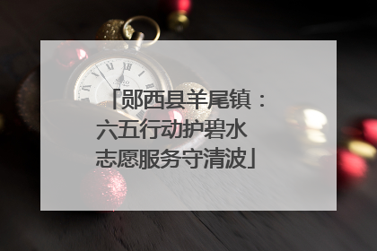 郧西县羊尾镇：六五行动护碧水 志愿服务守清波