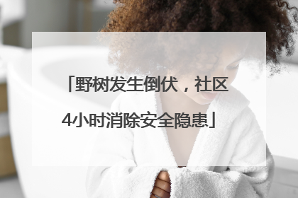 野树发生倒伏，社区4小时消除安全隐患