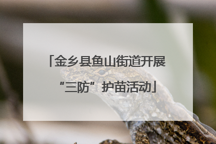 金乡县鱼山街道开展“三防”护苗活动