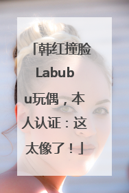 韩红撞脸Labubu玩偶，本人认证：这太像了！