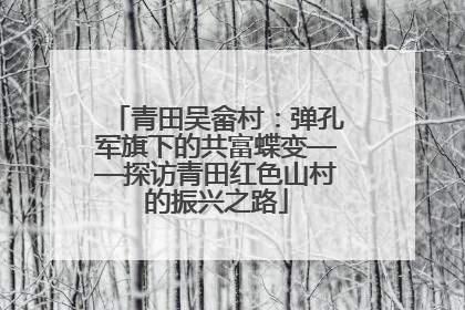 青田吴畲村：弹孔军旗下的共富蝶变——探访青田红色山村的振兴之路