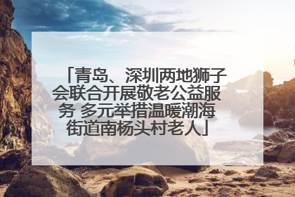 青岛、深圳两地狮子会联合开展敬老公益服务 多元举措温暖潮海街道南杨头村老人