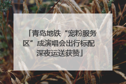 青岛地铁“宠粉服务区”成演唱会出行标配 深夜运送获赞