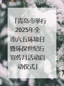 青岛市举行2025年全市六五环境日暨环保世纪行宣传月活动启动仪式