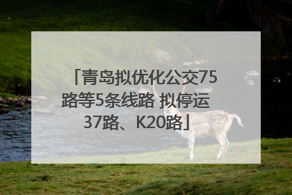 青岛拟优化公交75路等5条线路 拟停运37路、K20路