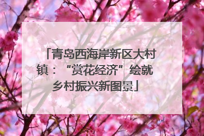 青岛西海岸新区大村镇：“赏花经济”绘就乡村振兴新图景