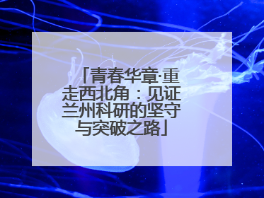 青春华章·重走西北角：见证兰州科研的坚守与突破之路