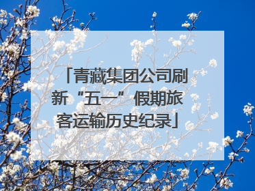 青藏集团公司刷新“五一”假期旅客运输历史纪录