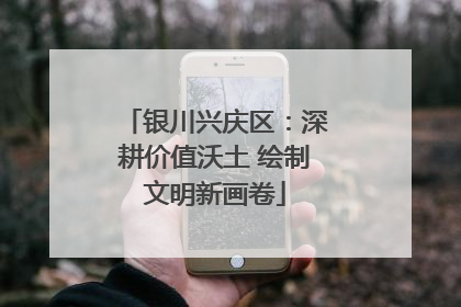 银川兴庆区：深耕价值沃土 绘制文明新画卷