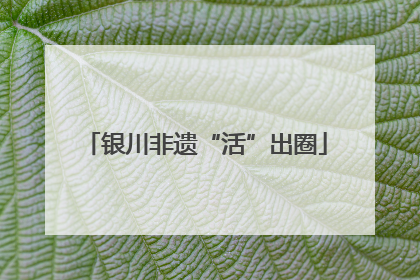 银川非遗“活”出圈