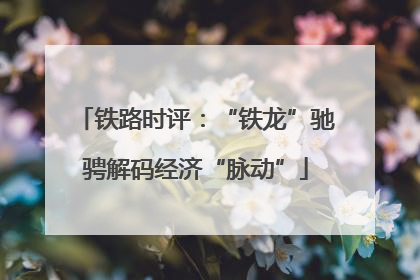 铁路时评：“铁龙”驰骋解码经济“脉动”