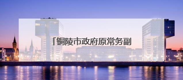 铜陵市政府原常务副市长何田被“双开”