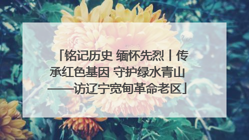 铭记历史 缅怀先烈丨传承红色基因 守护绿水青山——访辽宁宽甸革命老区