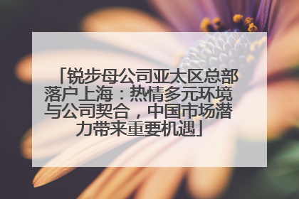 锐步母公司亚太区总部落户上海：热情多元环境与公司契合，中国市场潜力带来重要机遇