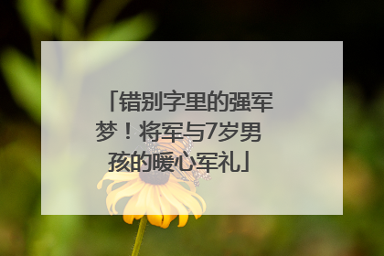 错别字里的强军梦！将军与7岁男孩的暖心军礼