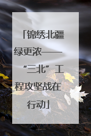 锦绣北疆绿更浓——“三北”工程攻坚战在行动
