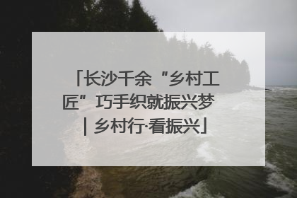 长沙千余“乡村工匠”巧手织就振兴梦|乡村行·看振兴