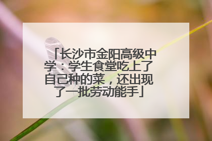 长沙市金阳高级中学：学生食堂吃上了自己种的菜，还出现了一批劳动能手