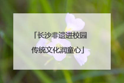 长沙非遗进校园 传统文化润童心