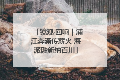 镜观·回响｜浦江奔涌传薪火 海派融新纳百川