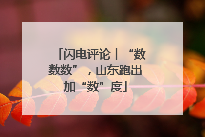 闪电评论丨“数数数”，山东跑出加“数”度