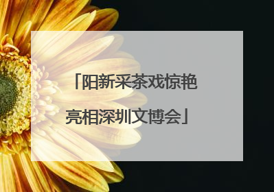 阳新采茶戏惊艳亮相深圳文博会