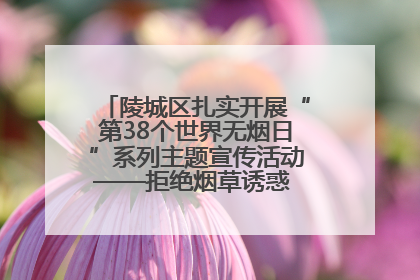陵城区扎实开展“第38个世界无烟日”系列主题宣传活动——拒绝烟草诱惑 对第一支烟说不