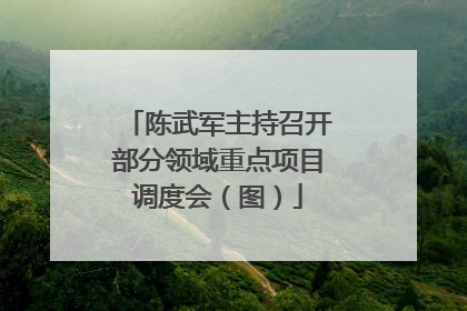 陈武军主持召开部分领域重点项目调度会（图）