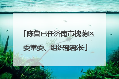 陈鲁已任济南市槐荫区委常委、组织部部长