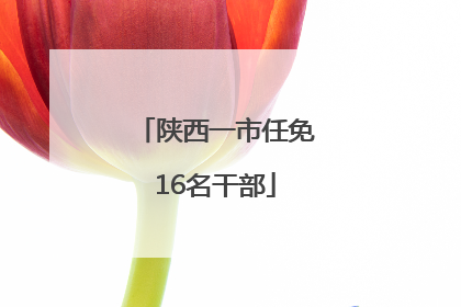 陕西一市任免16名干部