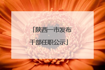 陕西一市发布干部任职公示