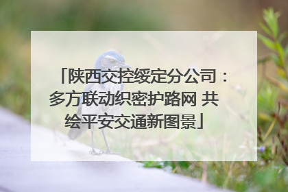 陕西交控绥定分公司：多方联动织密护路网 共绘平安交通新图景