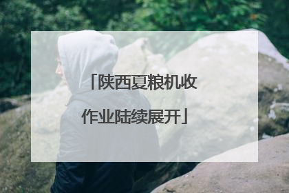 陕西夏粮机收作业陆续展开