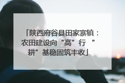 陕西府谷县田家寨镇：农田建设向“高”行 “耕”基稳固筑丰收