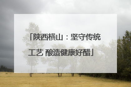 陕西横山：坚守传统工艺 酿造健康好醋