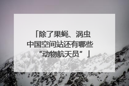 除了果蝇、涡虫 中国空间站还有哪些“动物航天员”